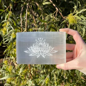 Buy Selenite Plate With Lotis Flower